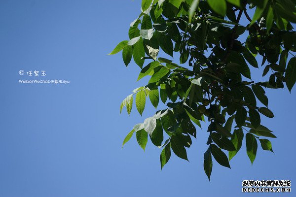 ɽƯ һ